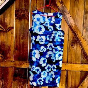 Calvin Klein 18w Blue Floral Dress
